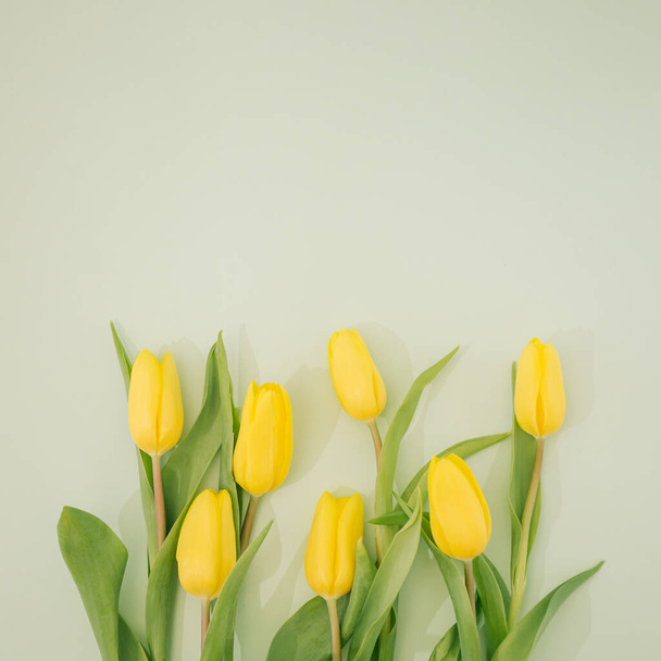 Жовті тюльпани на зеленому фоні. Концепція мінімальної пружини. - Фото, зображення