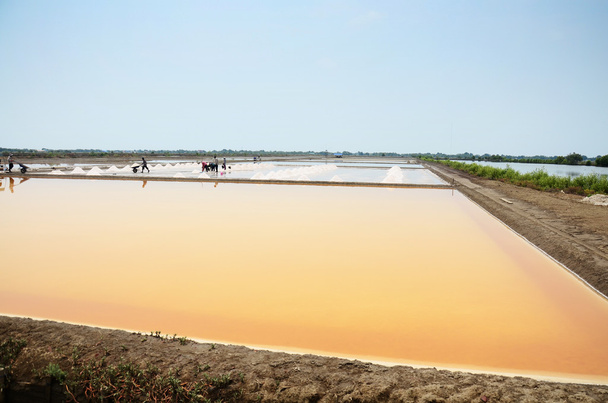 Salt farming or Salt evaporation pond - Photo, Image