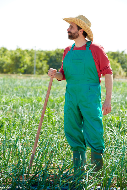 Farmer man working in onion orchard with hoe - 写真・画像