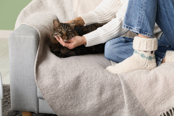 Frau mit süßer Katze sitzt zu Hause auf Sofa - Foto, Bild