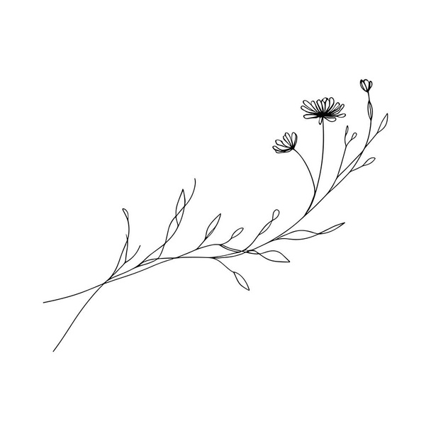 Ilustración de flores silvestres de línea continua - Vector, imagen