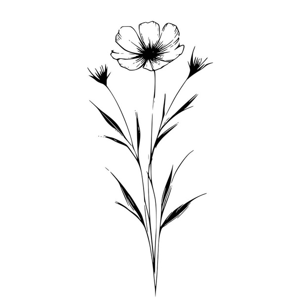 Wildflowers vector hand drawn Illustration - Vector, Image