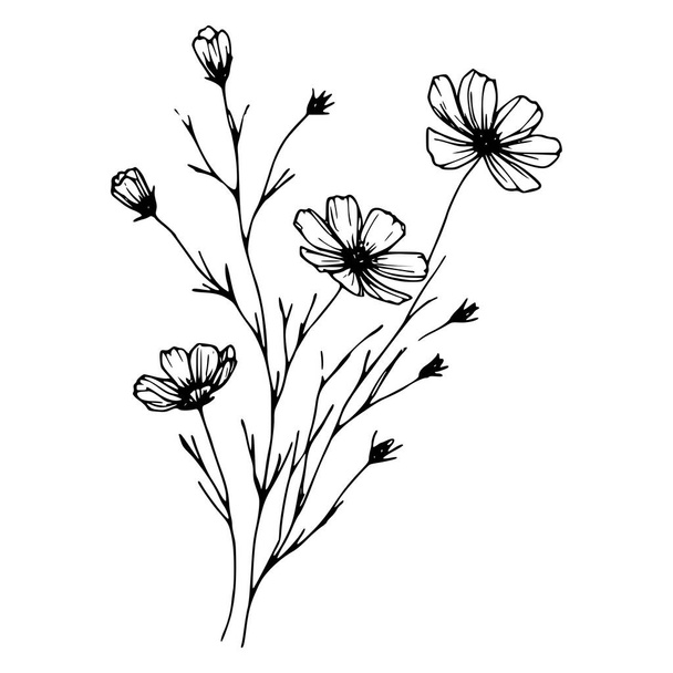 Wildflowers wektor ręcznie rysowane Ilustracja - Wektor, obraz