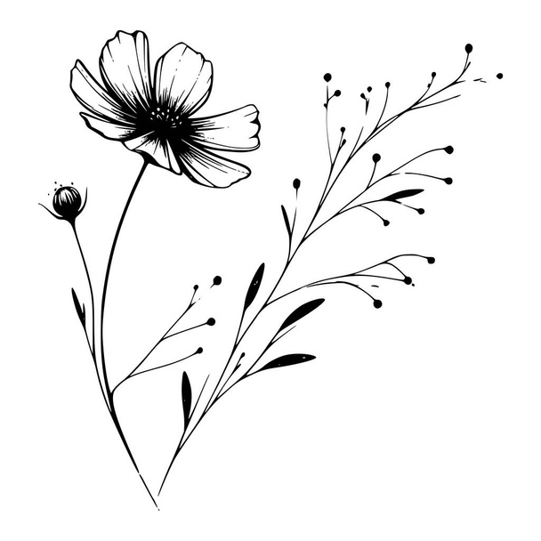 Wildbloemen vector hand getekend Illustratie - Vector, afbeelding