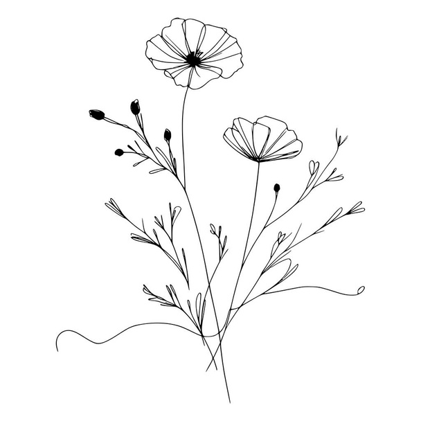 Wildflowers vector hand drawn Illustration - Vector, Image