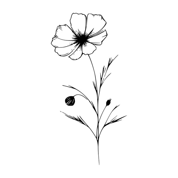 Flores silvestres vector dibujado a mano Ilustración - Vector, imagen