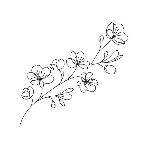 Sakura blossom continuous line vector illustration - Vector, Image