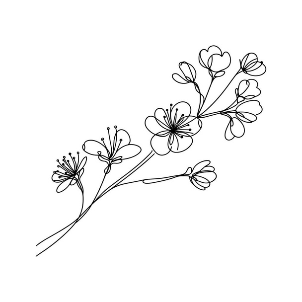 Sakura fiore linea continua vettoriale illustrazione - Vettoriali, immagini