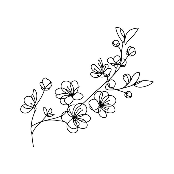 Sakura-Blüte kontinuierliche Linienvektorillustration - Vektor, Bild