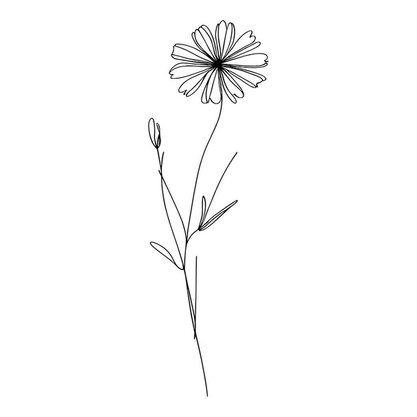 Суперечлива лінія ілюстрація дикої квітки - Вектор, зображення