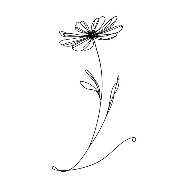 Continous line wildflower illustration - Vector, Image