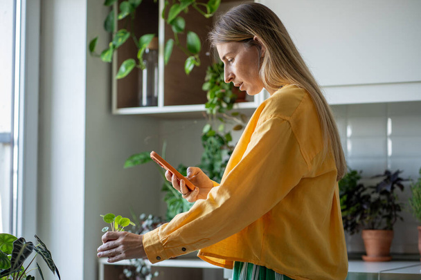Сконцентрированная женщина делает фото со смартфоном, ищет растение в мобильном приложении, читает информацию об уходе, характеристиках, делится фотографиями с флористом, ботаник для экспертного комментария - Фото, изображение