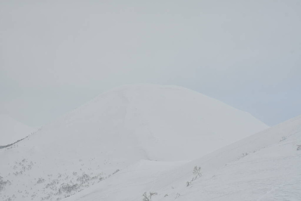 Hokkaido Japani talvi Maisema Metsäpuut hiihto touring urheilu. Laadukas kuva - Valokuva, kuva
