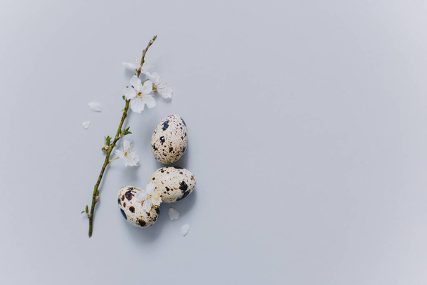 Όμορφο κλαδί με λευκά άνθη και αυγά σε γκρι φόντο. Ελάχιστη έννοια. Θέση για κείμενο. - Φωτογραφία, εικόνα