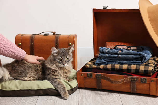 Travel with pet. Woman stroking cat near suitcases indoors, closeup - Fotó, kép