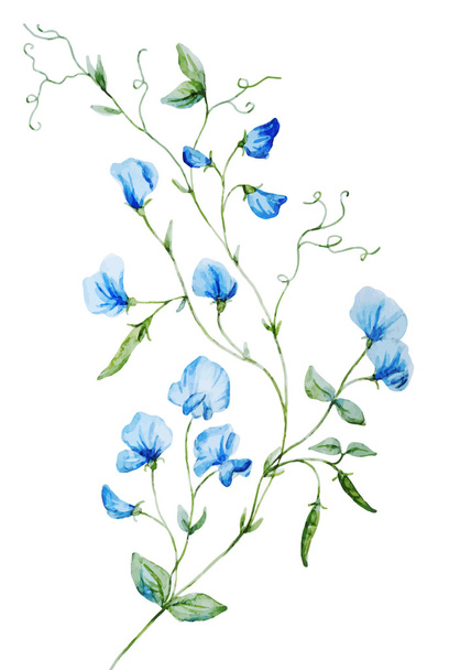 Nice watercolor flowers - Vecteur, image