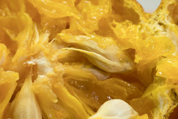 Esplendor de citrinos: uma viagem macro em uma fatia de laranja e sementes, Esta imagem macro convida você em uma viagem para o coração de uma fatia de laranja. As células vibrantes e suculentas, as sementes lisas e as texturizadas - Foto, Imagem