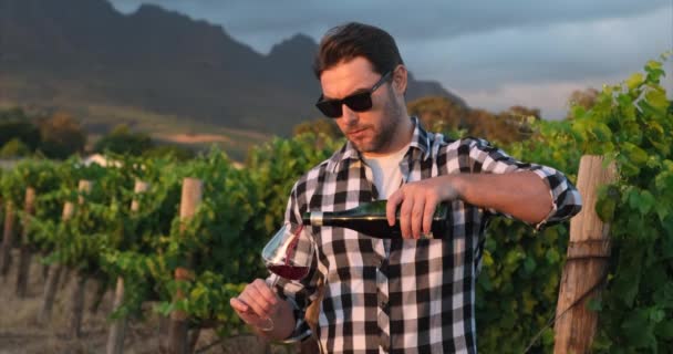 Muž držící sklenici červeného vína na viniční louce. ruku se sklenicí vína. degustace vín v venkovní vinařské restauraci cestovní tour. muž držící sklenici červeného vína na vinici - Záběry, video