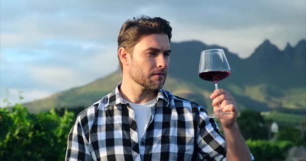 Muž držící sklenici červeného vína na viniční louce. ruku se sklenicí vína. degustace vín v venkovní vinařské restauraci cestovní tour. muž držící sklenici červeného vína na vinici - Záběry, video