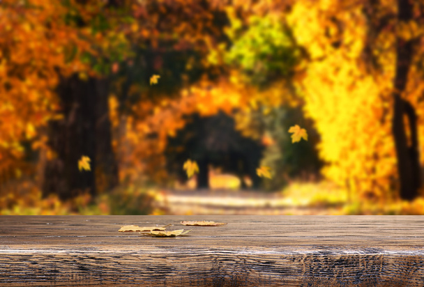 Table with autumn leaves - Foto, Imagem