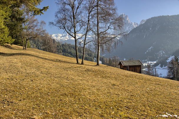 Гірський будиночок у долині соснових лісів та засніжених вершин i
 - Фото, зображення