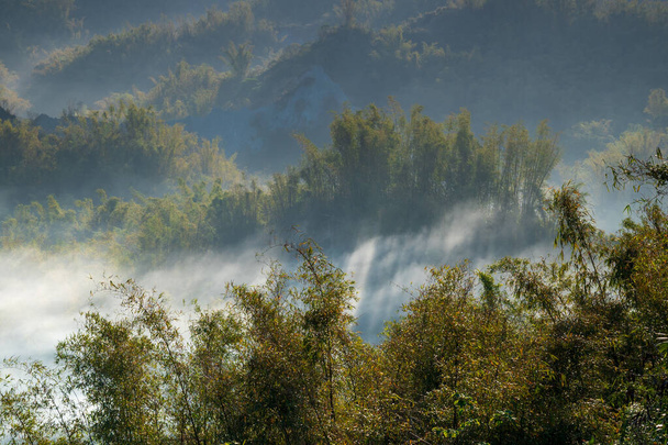 Aamulla savu kihartuu laaksosta ja bambumetsä on vihreä. Erliao heimo Zuozhen nauttii auringonnoususta maisema, Tainan City, Taiwan. - Valokuva, kuva