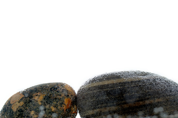 Stones under water - Фото, зображення