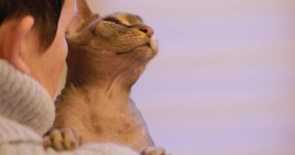In diesem fesselnden Zeitlupenfilm wird eine Sphynx-Katze eng in den Armen ihres Besitzers gehalten, wodurch ein berührendes Tableau der Zuneigung und des Vertrauens entsteht. Die detaillierte Textur der Katzenhaut und ihre ruhige - Filmmaterial, Video