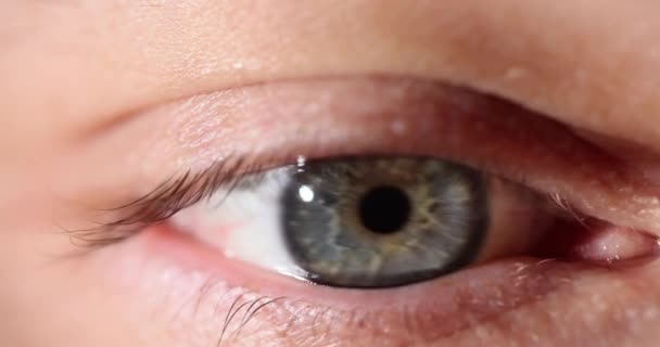 Grey-blue human eye follows with gaze focused on objects. Woman eye pupil moves from side to side at bright light. Eyesight health test - Footage, Video