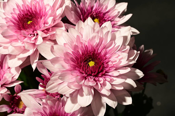 close up of beautiful bouquet on dark background - Photo, Image
