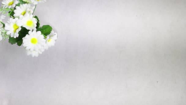 kädet tilalla tyhjä A4 fotorealistinen esite mockup grunge harmaa pöytä, päivänkakkara kukkia maljakko - Materiaali, video