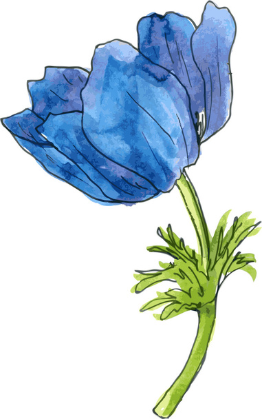 watercolor drawing blue flower - Διάνυσμα, εικόνα