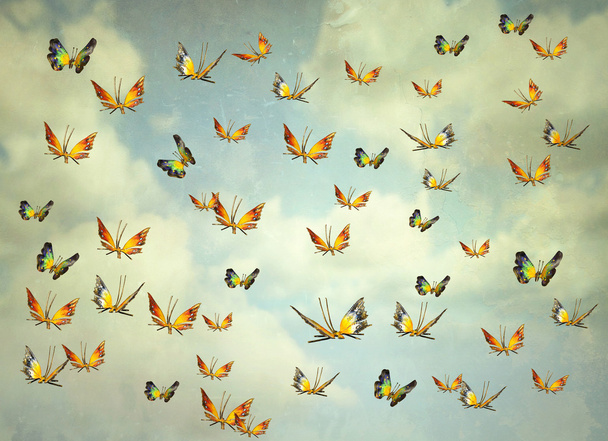 Butterflies in the sky - Valokuva, kuva