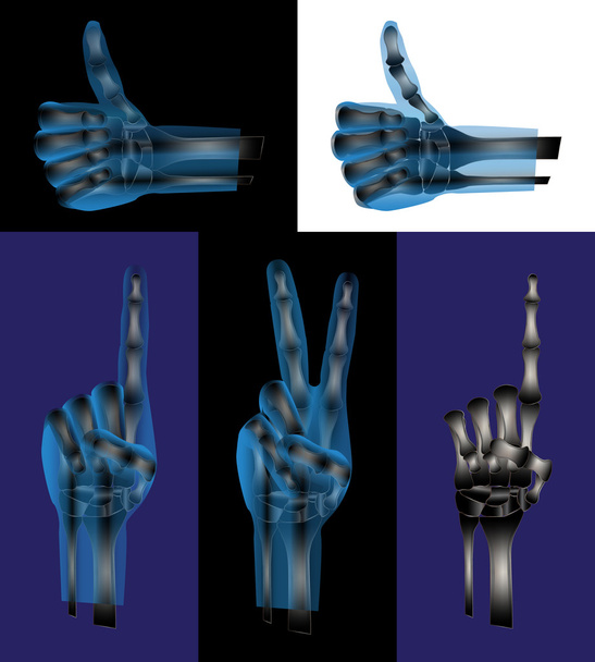 Hand gestures or signs - Vector, Image