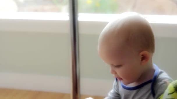 toddler playing with bird - Video