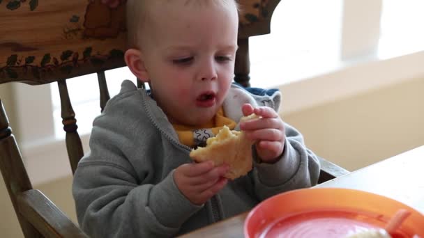 boy eating a grilled cheese - Metraje, vídeo