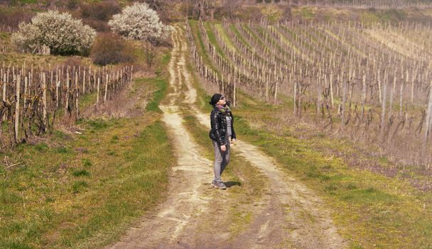 Vrouw op traject in wijngaarden - Foto, afbeelding