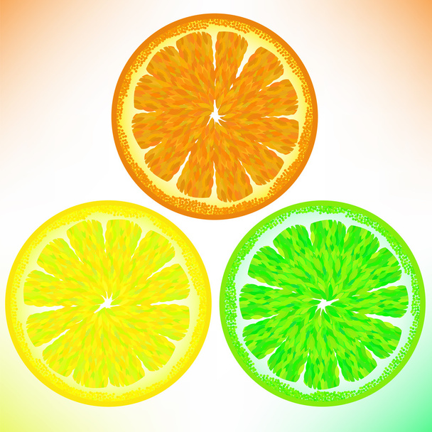 Orange lemon lime - Vektor, obrázek