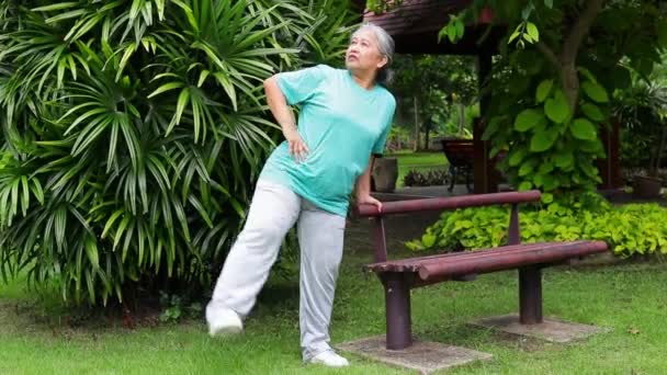 Aziatische oudere vrouw Lachen, gelukkig zijn en genieten van het sporten in het park. Sportconcept. Behoud van een gezonde gezondheid bij pensionering - Video