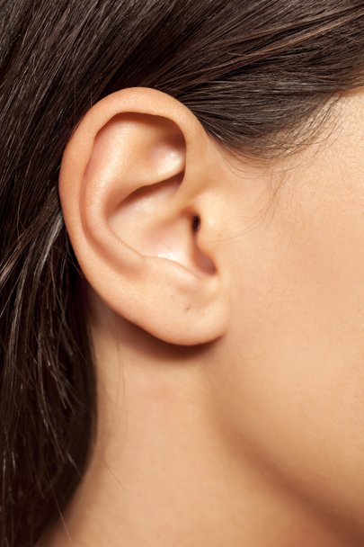 Female ear - Photo, Image