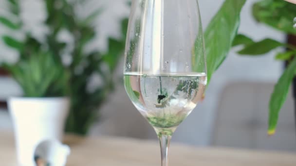 Adoptez un mode de vie sain avec la chlorophylle ! Verser dans un verre, c'est le début parfait de votre journée. Démarrez votre routine matinale avec la vibrante bonté verte de la chlorophylle. - Séquence, vidéo