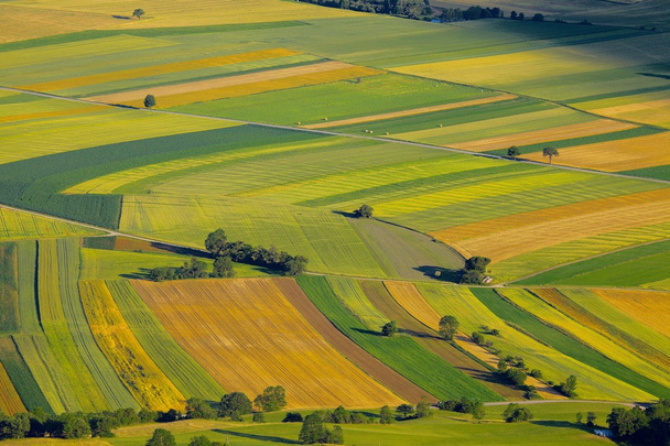 Fields - Foto, afbeelding
