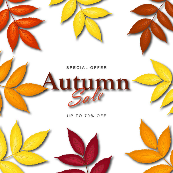 Herfst verkoop banner sjabloon versieren met as-boom bladeren in warme kleur toon voor winkelen of promotie poster en webbanner. Vectorillustratie. - Vector, afbeelding