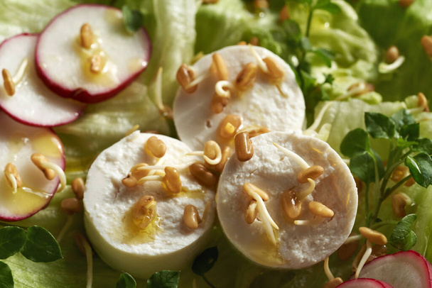 Gros plan de salade de légumes au fromage de chèvre, germes de fenugrec et poux des plantes sauvages comestibles récoltés au printemps - Photo, image