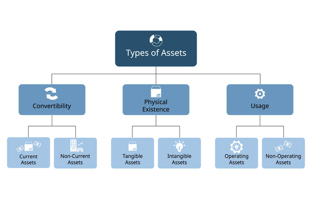 type of assets for convertibility, physical existence, usage for each assets categories - Vector, Image