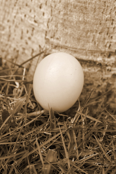 Vintage Paskalya yumurtaları - Fotoğraf, Görsel