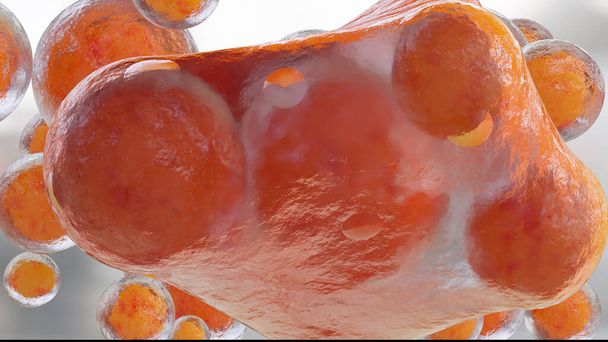Células gordas, adipócitos e lipocito, colesterol em uma célula, 3d render - Foto, Imagem