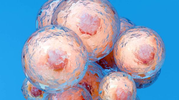 Cellule grasse, adipociti e lipociti, colesterolo in una cellula, rendering 3d - Foto, immagini
