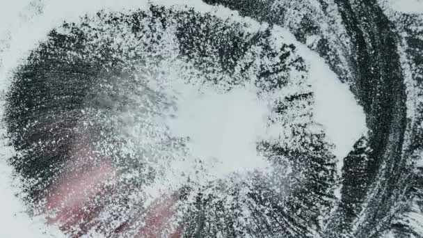 雪の上に大きなふわふわのブラシ - 映像、動画