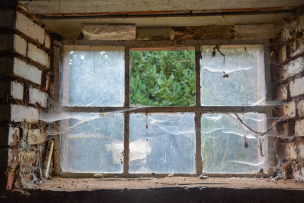 Old cellar window with spider webs, view outside and a missing pane of glass - Photo, Image